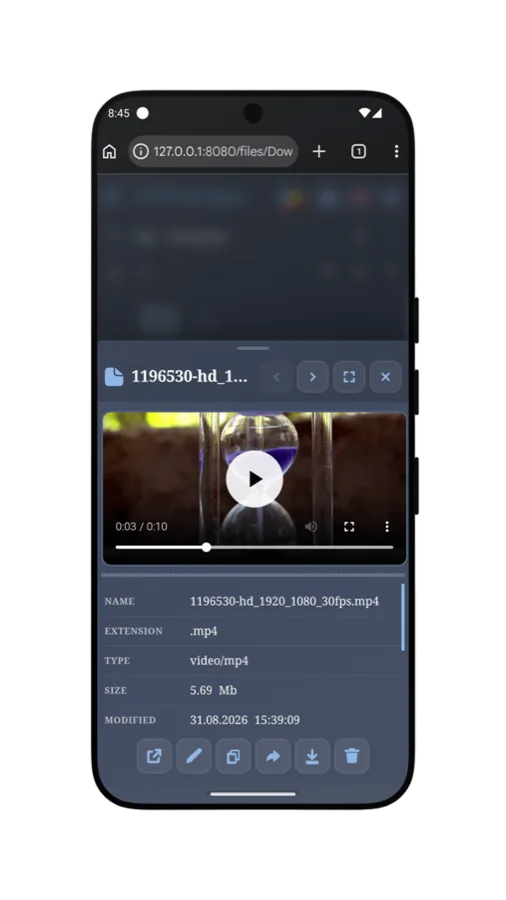Video preview in web client